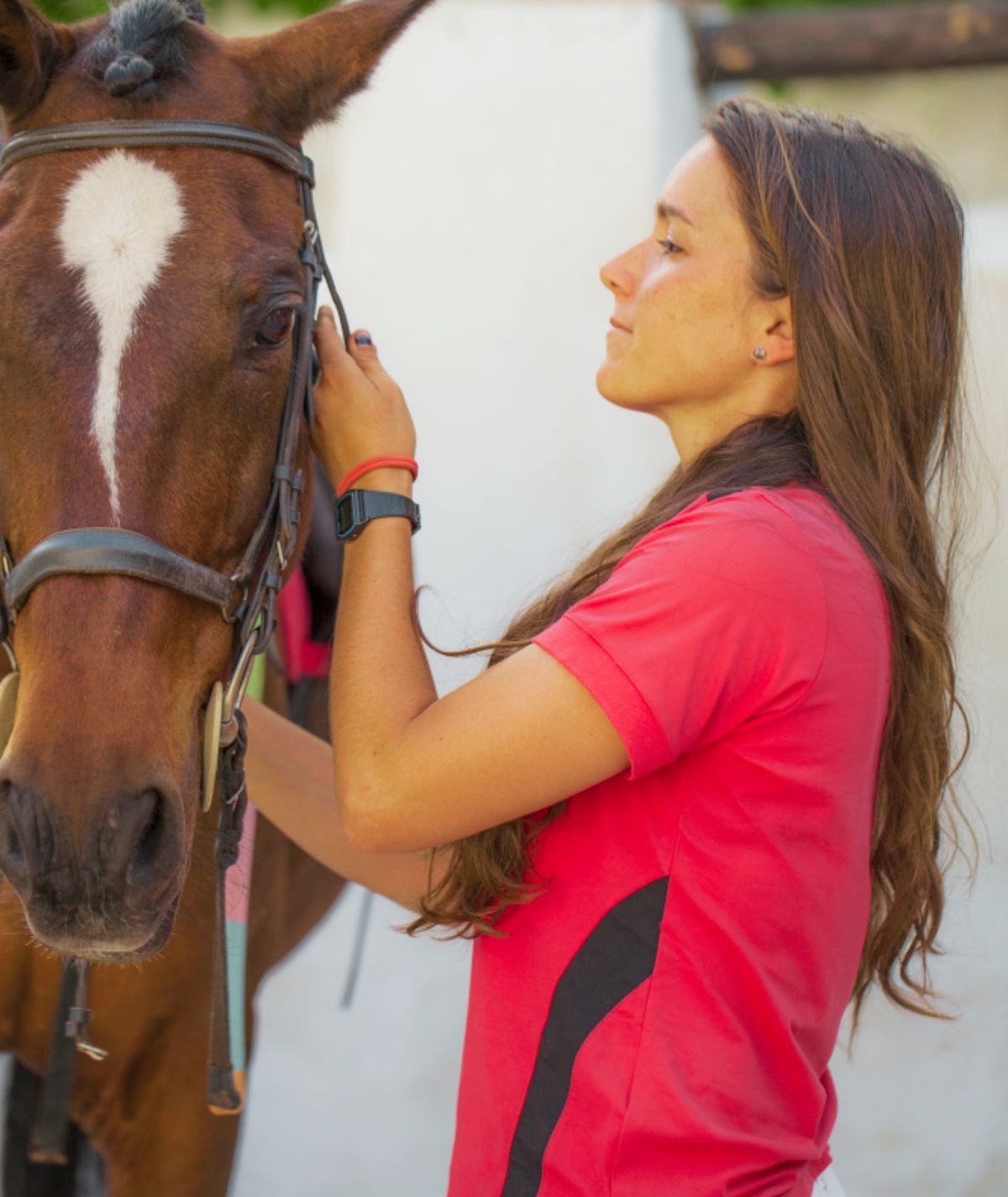 Monachil Actividad a Caballo