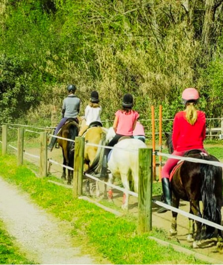 Clases de Equitación en el Corazón de Sierra Nevada