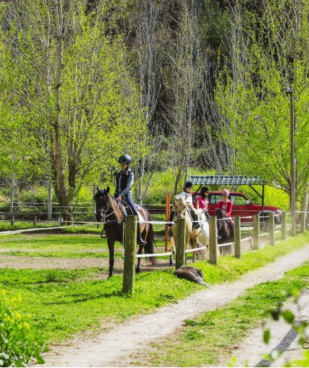 Clases de Equitación en el Corazón de Sierra Nevada