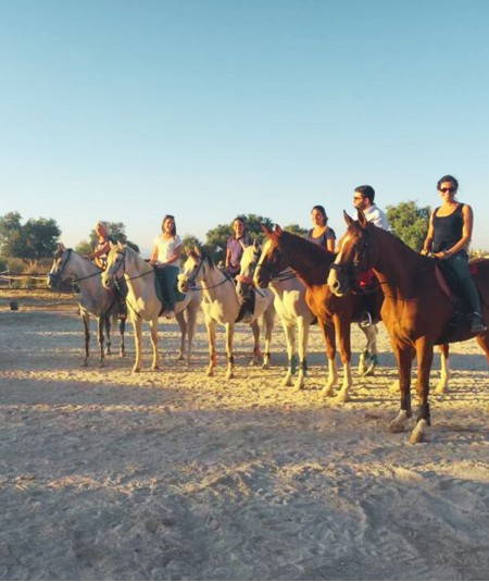 Clases de Equitación en el Corazón de Sierra Nevada"