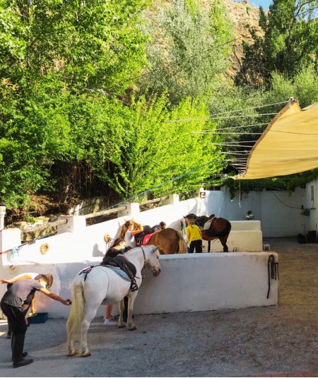 Clases de Equitación en el Corazón de Sierra Nevada