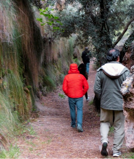 Revitaliza tu Creatividad con Baños de Bosque