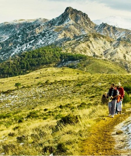 Revitaliza tu Creatividad con Baños de Bosque