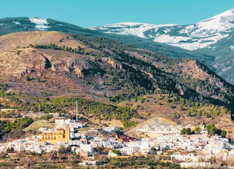 Fluyes y Cortijo El Cura: Innovación y Bienestar en Entornos Rurales