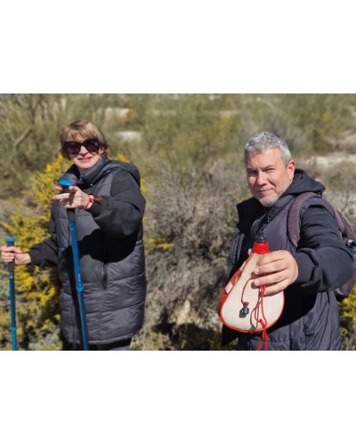 Trabajar en la Naturaleza: Descubre cómo  Mejorar tu Calidad de Vida y Experiencia Laboral